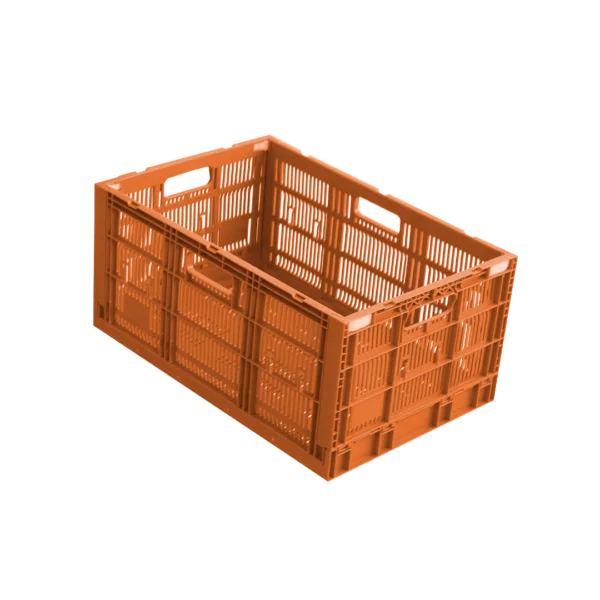 10 04 2024 06 15 28 934 VEU0060.002.png
