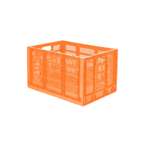 10 04 2024 06 15 29 665 VEU0061.002.png