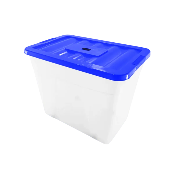 10 04 2024 06 17 31 199 VEU0177.002.png