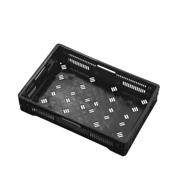 10 04 2024 06 15 36 875 VEU0068.003.png