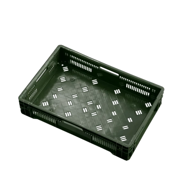 10 04 2024 06 15 37 311 VEU0068.005.png