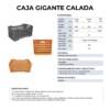 27 06 2024 04 54 12 493 VEU0076.006.png