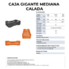27 06 2024 04 54 14 937 VEU0077.005.png