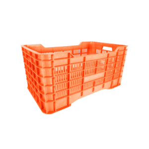 10 04 2024 06 15 41 501 VEU0076.001.png